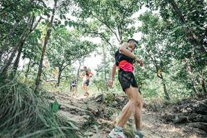 BIB: 
                            <button type="button" onclick="openModal(25983772)" class="btn btn-primary btn-sm float-right btn-popup" data-toggle="modal" data-target=".modal-high-quality">
                        <i class="fas fa-shopping-cart"></i> Add to Cart
                    </button>
                                            <button type="button" onclick="isThisMe(25983772, true)" class="btn btn-success btn-sm float-right btn-popup btn-isme hidden" data-toggle="tooltip" data-placement="bottom" title="นี่คือรูปของคุณใช่ไหม คลิกที่นี่เพื่อเอาเข้าอัลบั้ม">
                        <i class="fas fa-plus"></i> Add to album
                    </button>
                    <button type="button" onclick="isThisMe(25983772, false)" class="btn btn-warning btn-sm float-right btn-popup btn-isnotme hidden">
                        <i class="fas fa-ban"></i> Remove from album
                    </button>